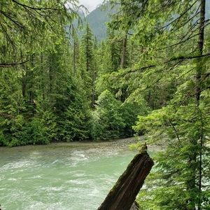 Meet your Posher, Pamela